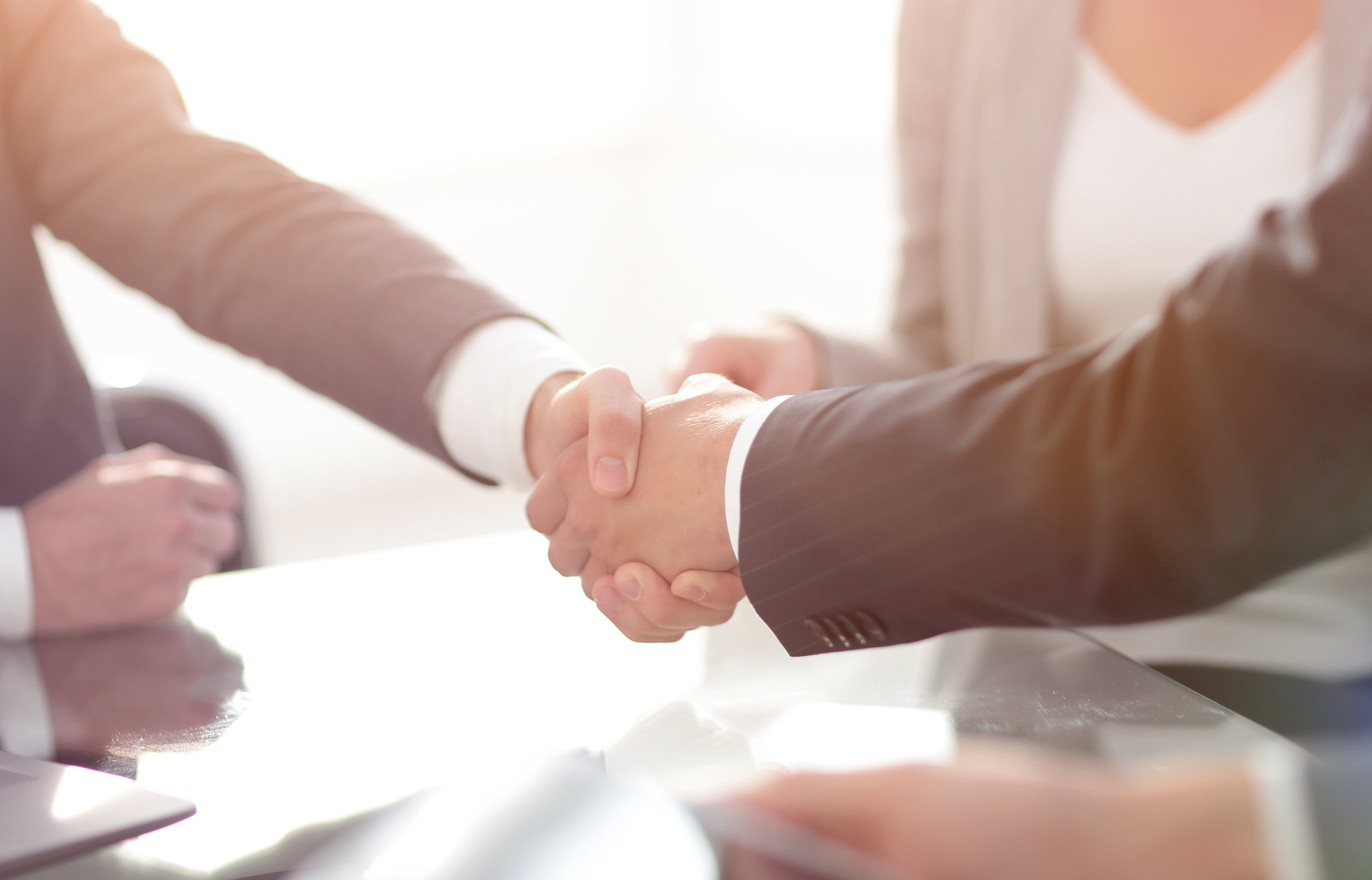 Confident handshake of business partners