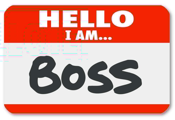 Hello I Am Boss Nametag Sticker Supervisor Authority