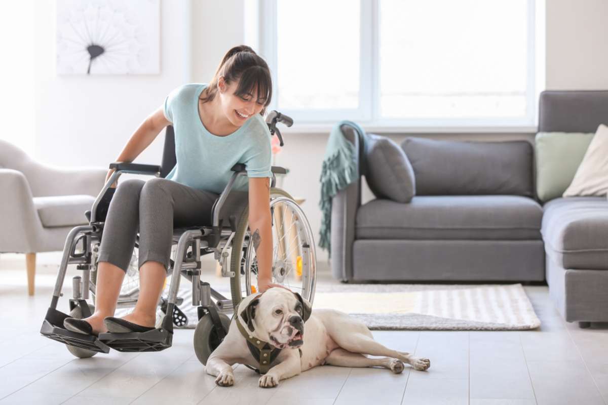 Young woman in wheelchair with service dog at home