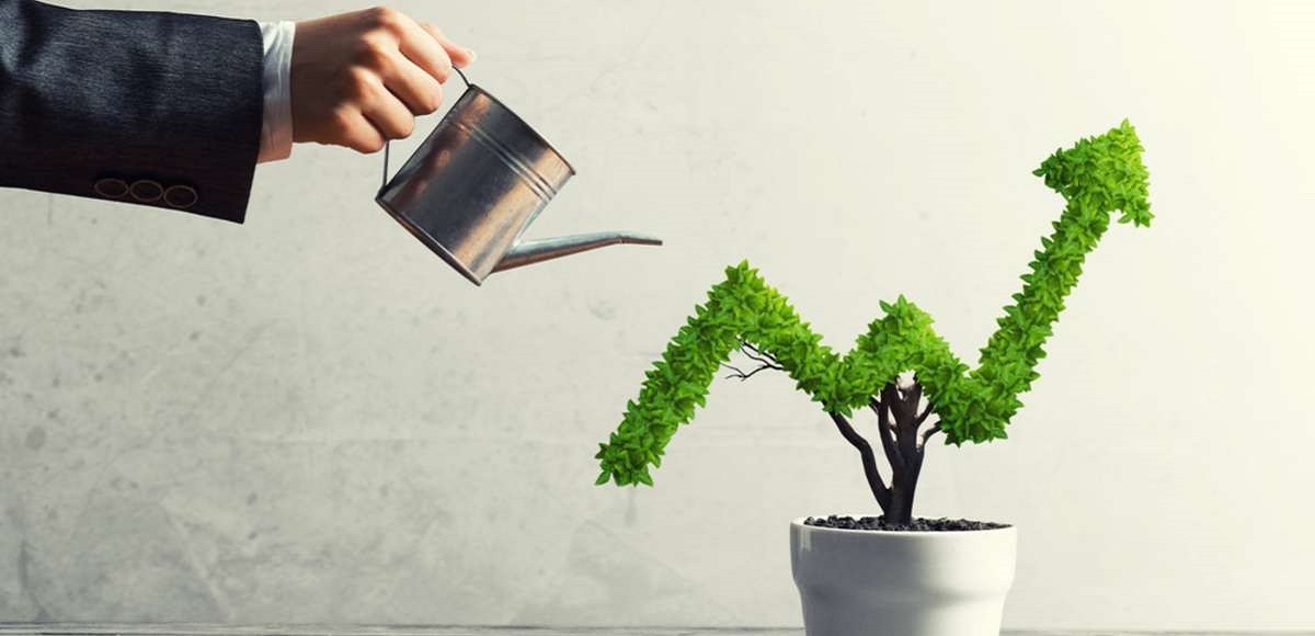 Hand of woman watering small plant in pot shaped like growing graph