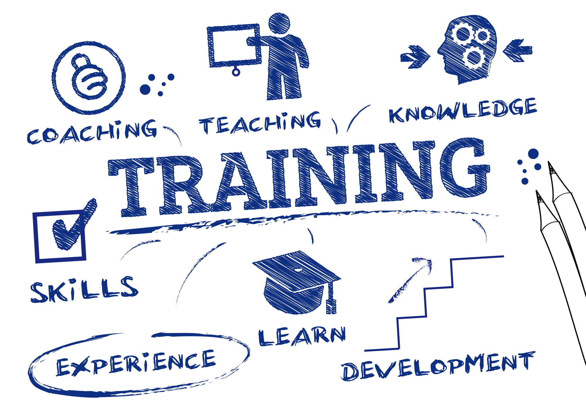 The word training 